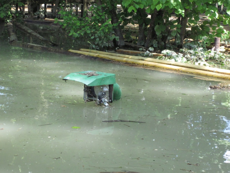 hochwasser2013-07.jpg